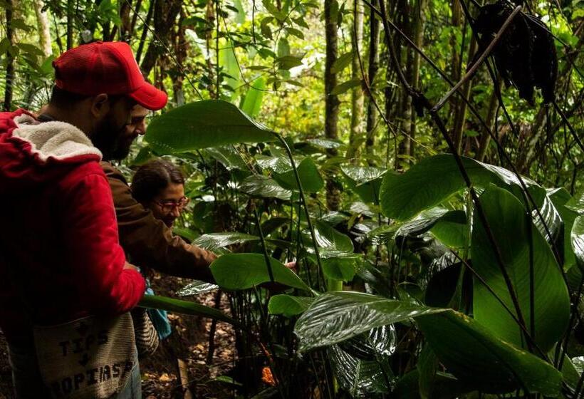 ペンション Eco Hotel El Columpio