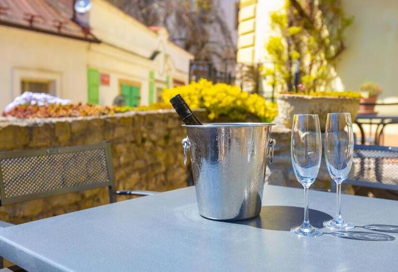 פנסיון Penzion U Hrádku