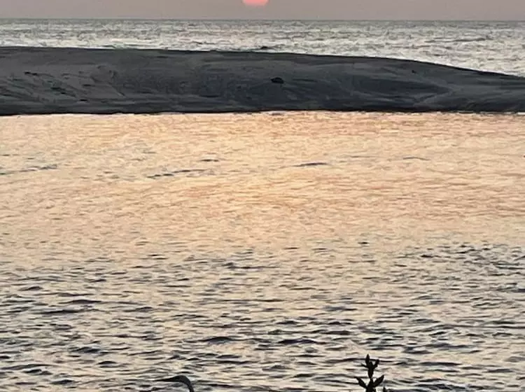 ベッドアンドブレックファースト San Carlos Surf Resort & Eco Lodge