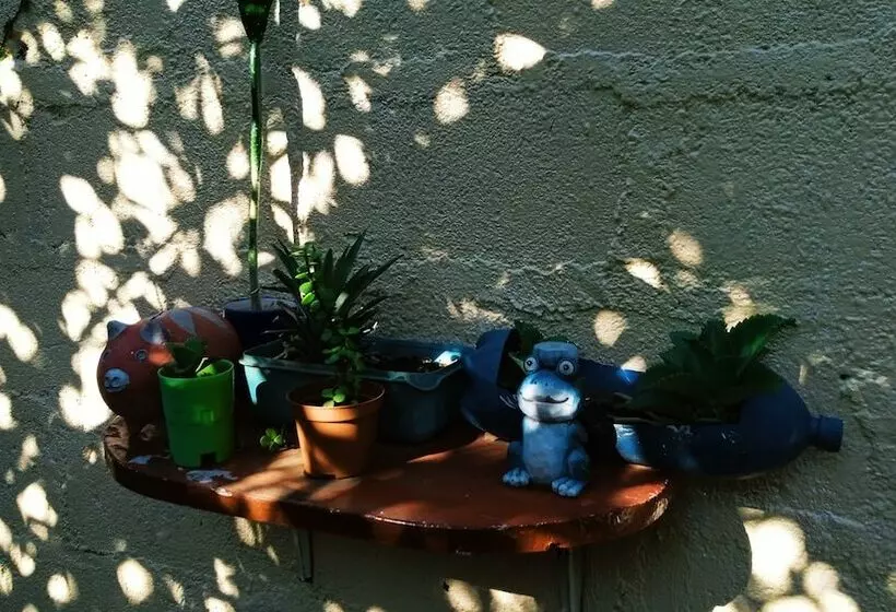 پانسیون Hostal Vacaciones Nicas