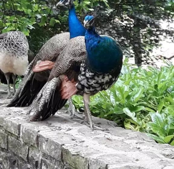 Majatalo Hostal Palacio Jaureguia