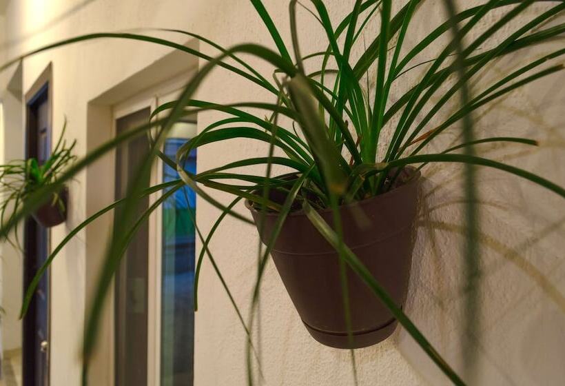 בית מלון כפרי Casa Real