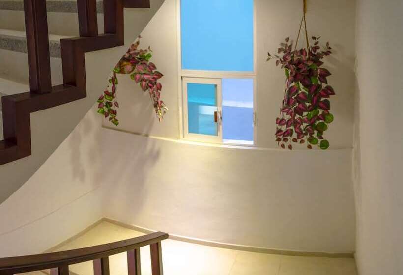 בית מלון כפרי Casa Real