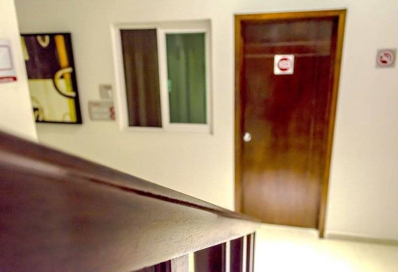 בית מלון כפרי Casa Real