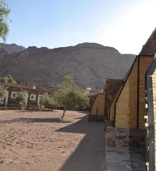 هتل Sheikh Mousa Bedouin Camp