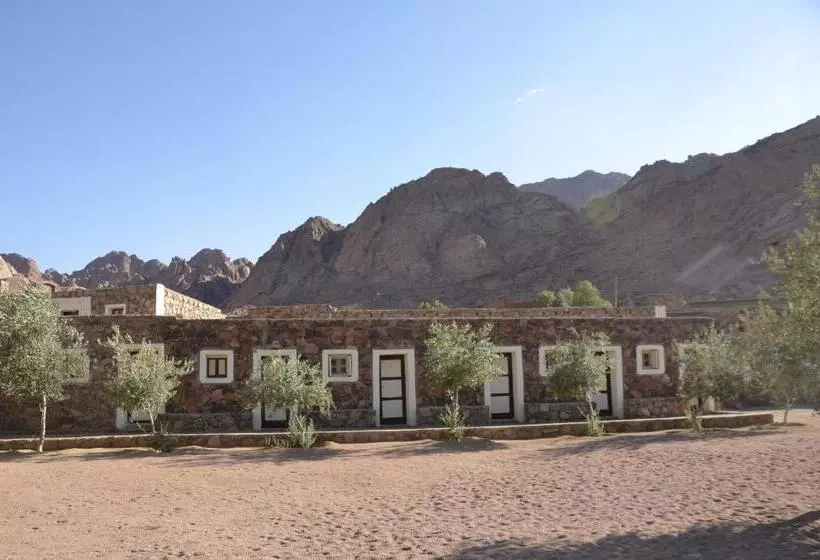 هتل Sheikh Mousa Bedouin Camp