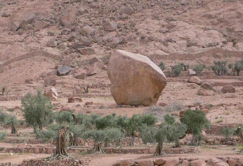 هتل Sheikh Mousa Bedouin Camp