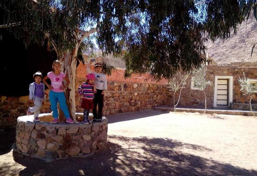 هتل Sheikh Mousa Bedouin Camp