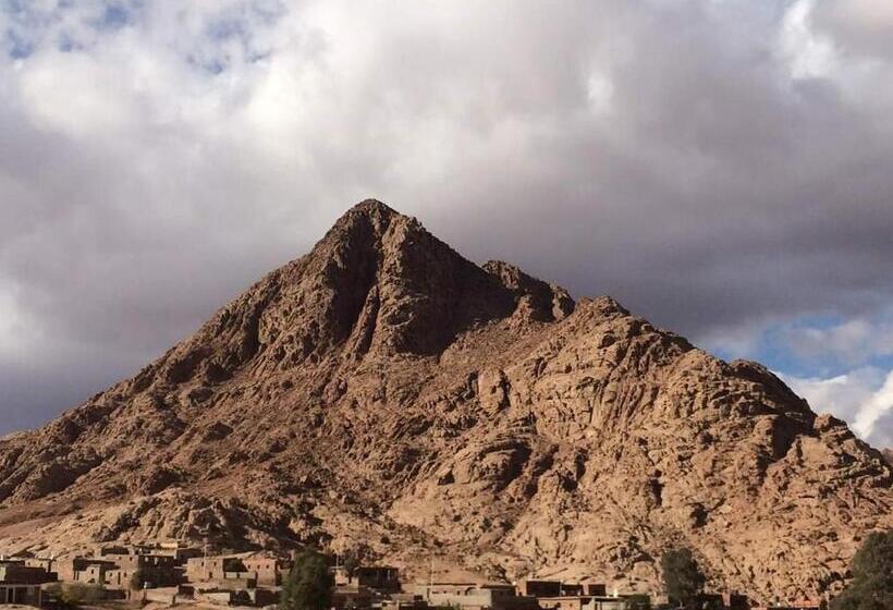 هتل Sheikh Mousa Bedouin Camp