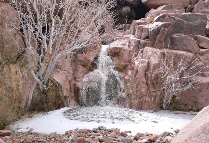 هتل Sheikh Mousa Bedouin Camp