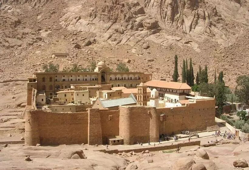 هتل Sheikh Mousa Bedouin Camp