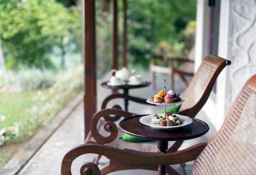 בית מלון כפרי Rosyth Estate House