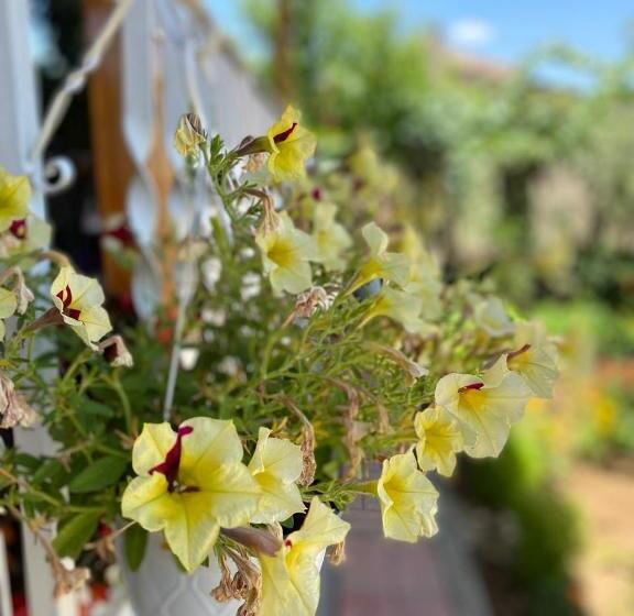 펜션 Joan Guesthouse