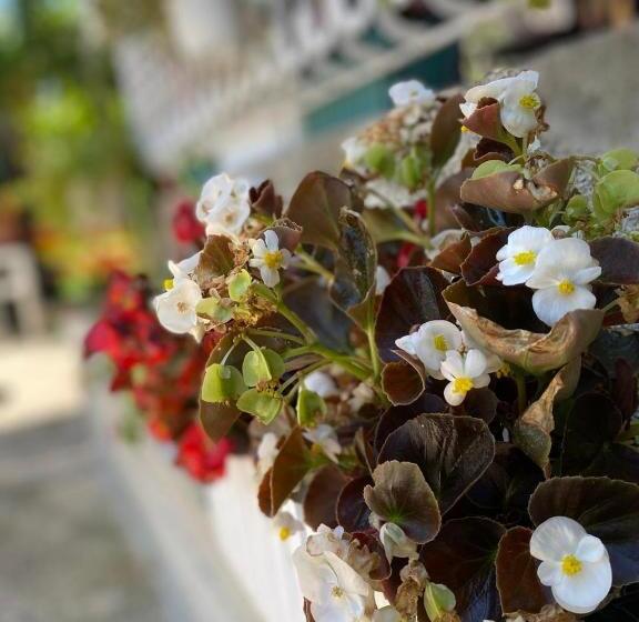 펜션 Joan Guesthouse