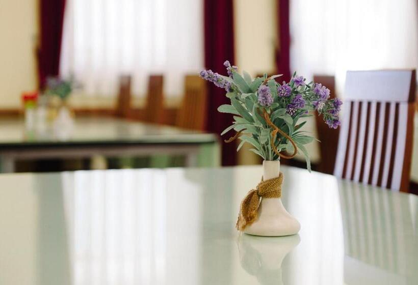 پانسیون Villa Panorama