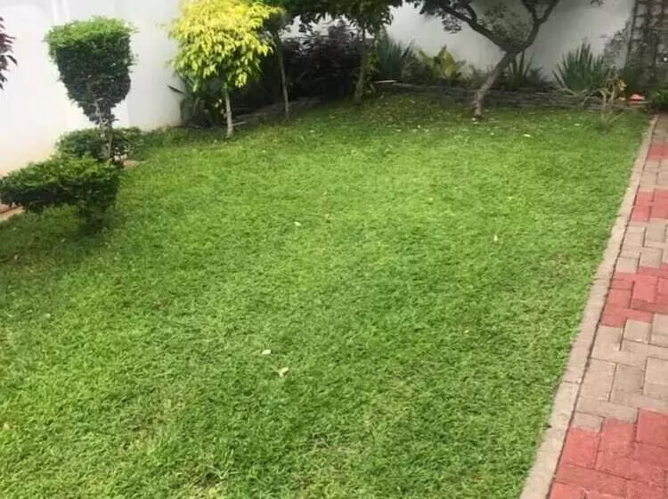 تختخواب و صبحانه Luxlusive Guest House
