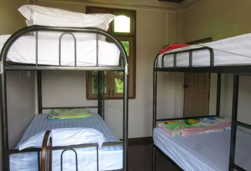 Lux Pillow Hostel