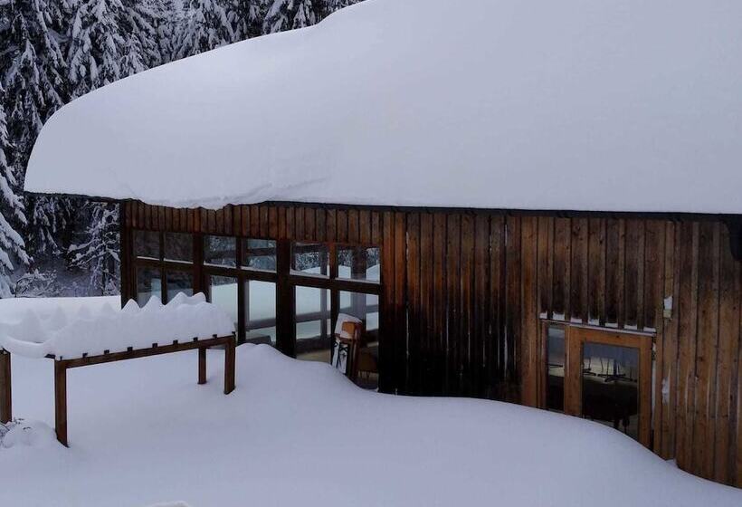 Отель Almagmach