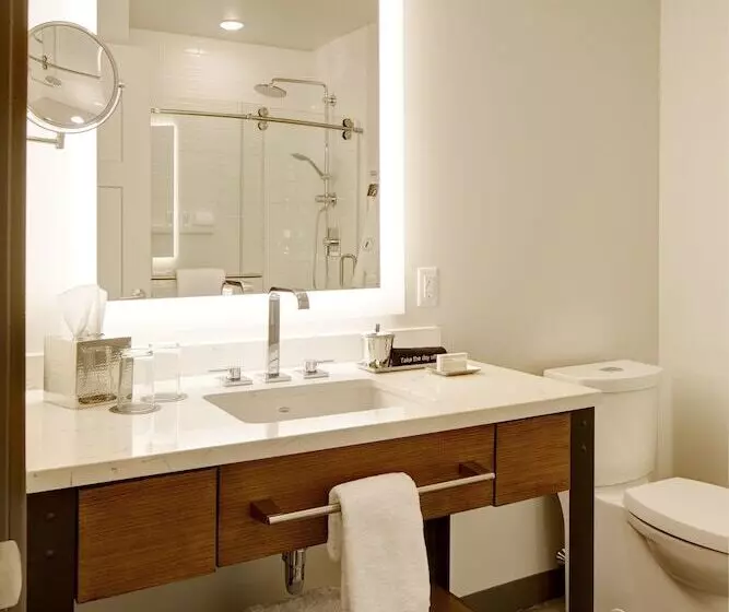 Archer Hotel Seattle/redmond