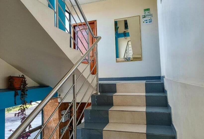 민박 Real Amazónico