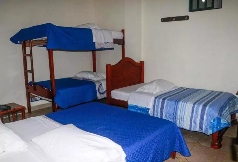 ベッドアンドブレックファースト Real Amazónico