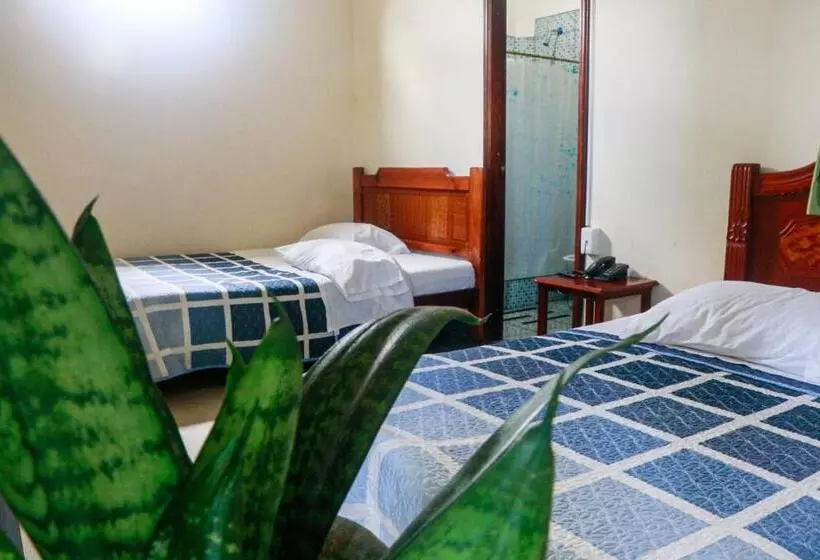 ベッドアンドブレックファースト Real Amazónico