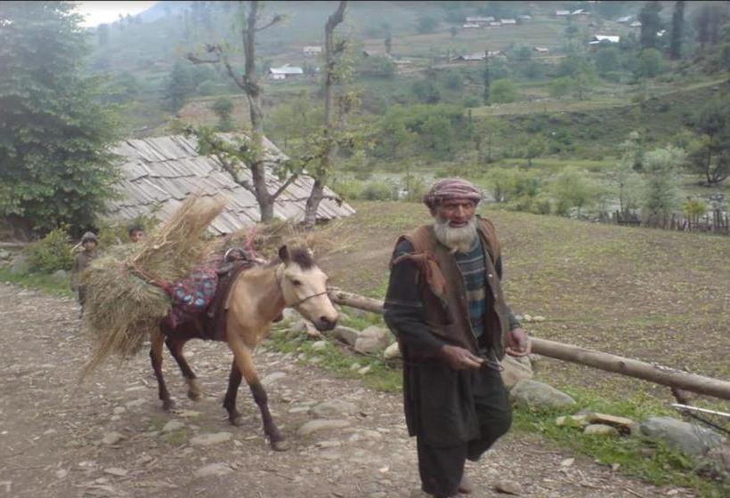 Aru Camping Resort Aru, J&k