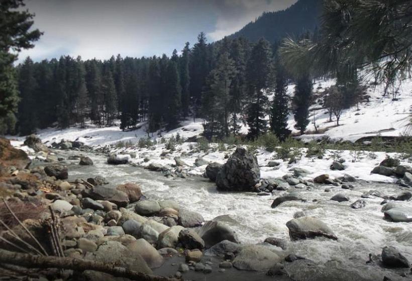 Aru Camping Resort Aru, J&k