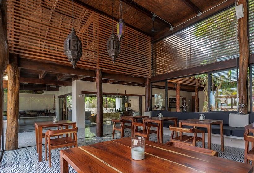 Lotus Beach Hotel   Adults Only