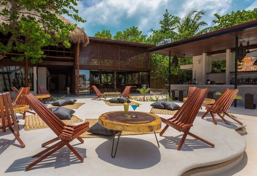 Lotus Beach Hotel   Adults Only