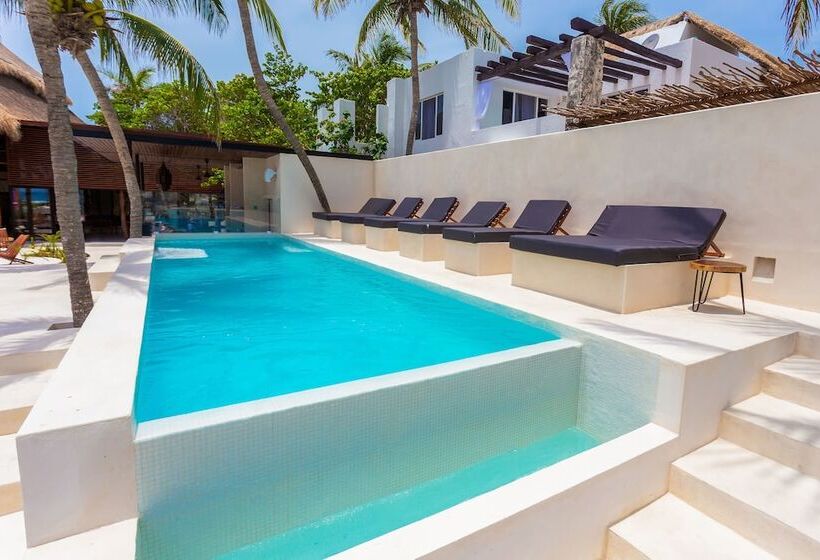 Lotus Beach Hotel   Adults Only