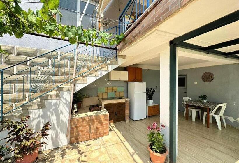 Majatalo Boungainvillea