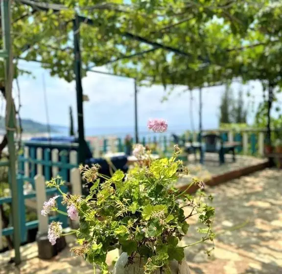 پانسیون Boungainvillea