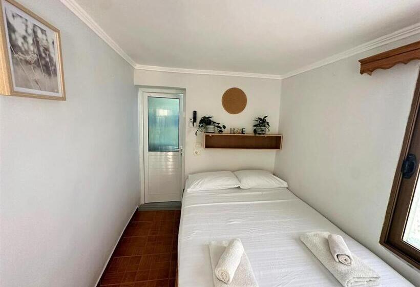 Majatalo Boungainvillea