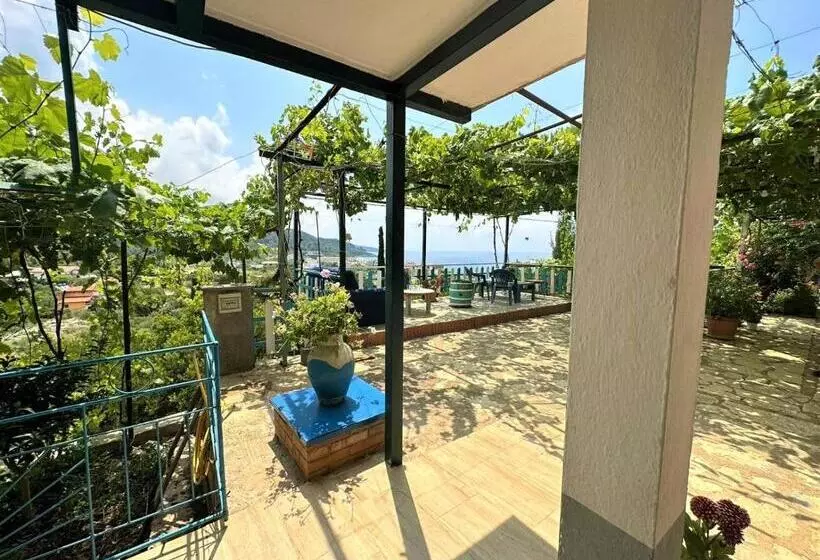 پانسیون Boungainvillea