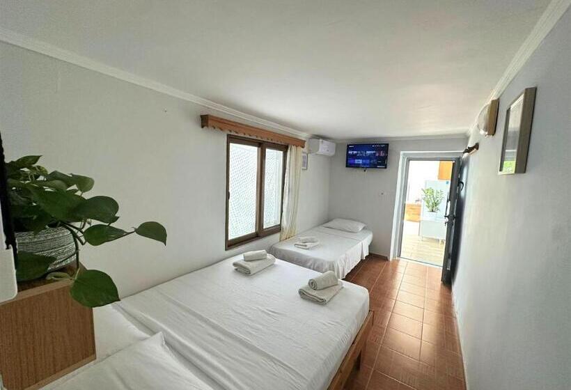 Majatalo Boungainvillea