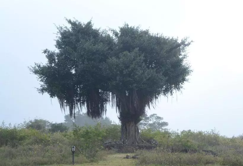 Aarraams Farms & Resorts