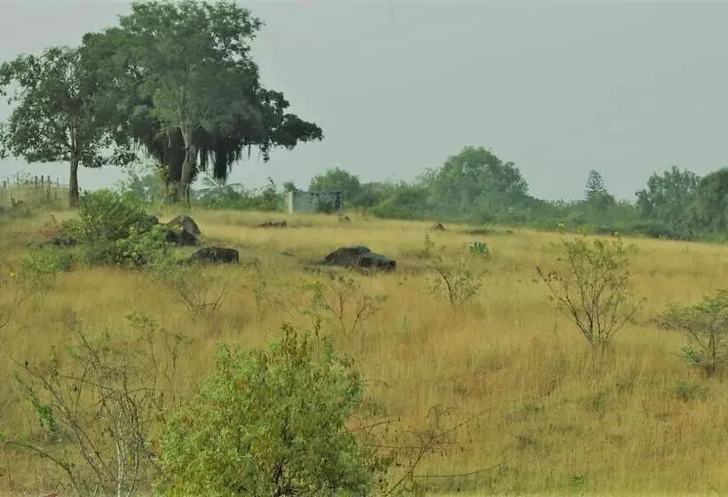 Aarraams Farms & Resorts