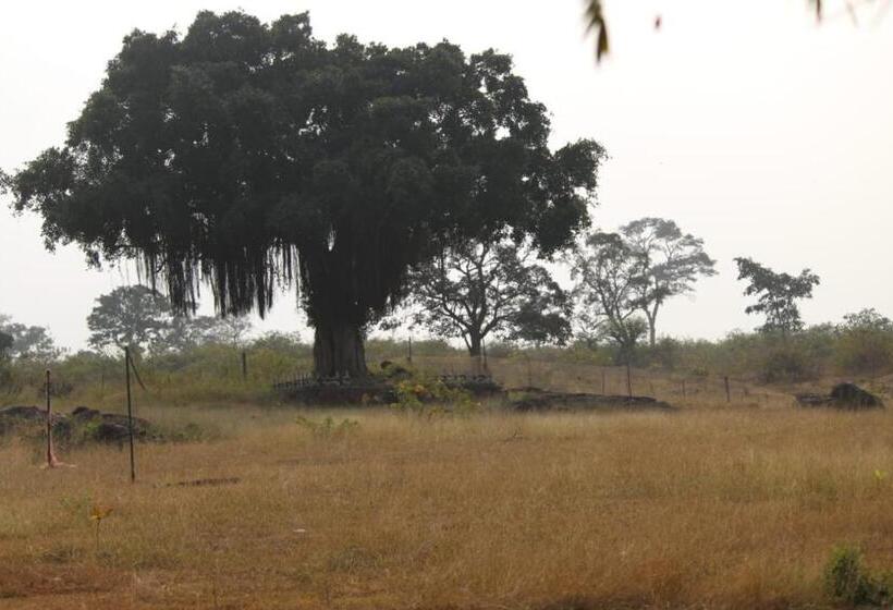 Aarraams Farms & Resorts