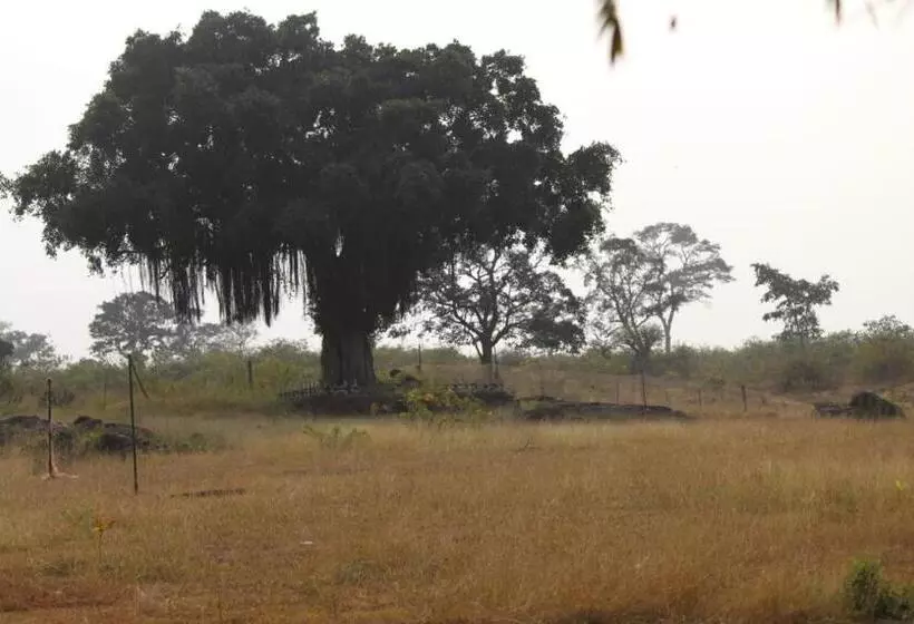 Aarraams Farms & Resorts