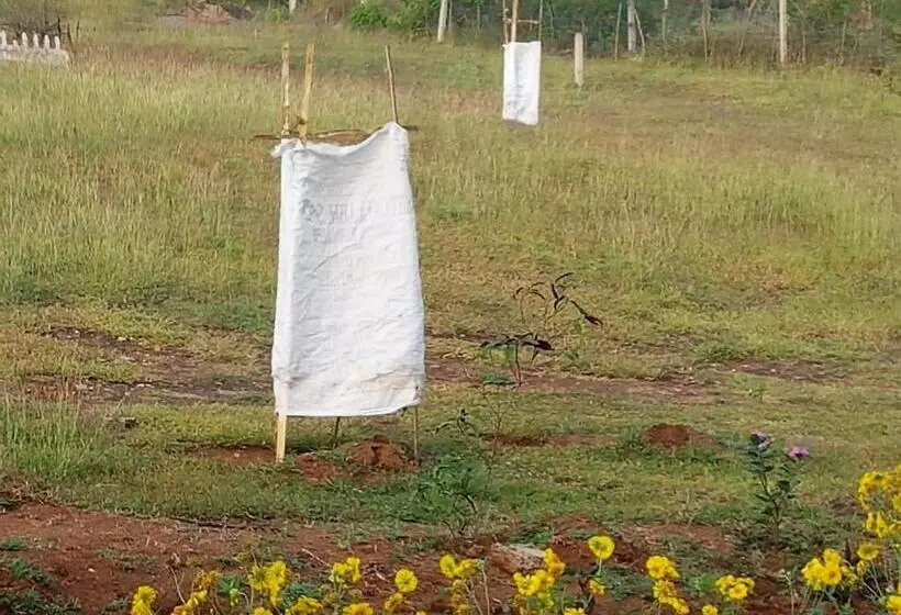 Aarraams Farms & Resorts