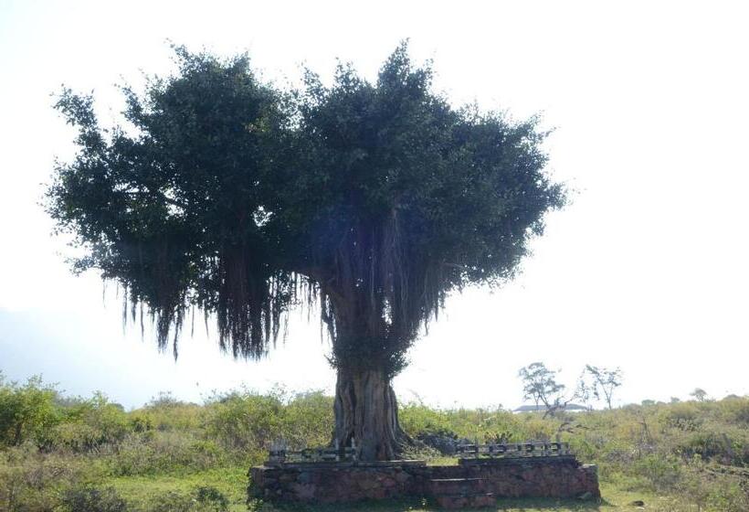 Aarraams Farms & Resorts