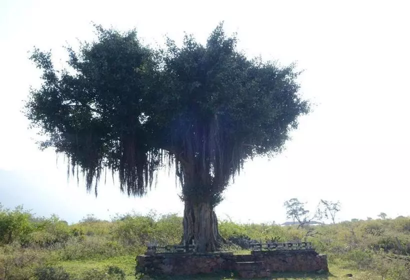 Aarraams Farms & Resorts