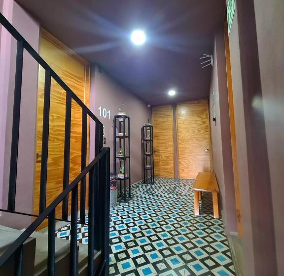 בית מלון כפרי Momotus   Desayuno Incluido