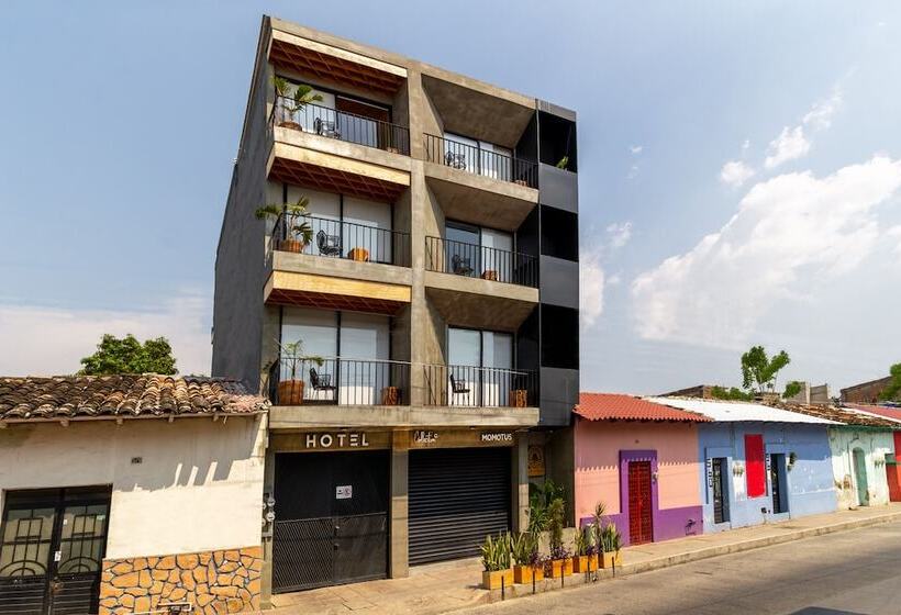 בית מלון כפרי Momotus   Desayuno Incluido