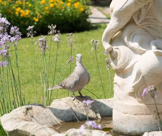 Aamiaismajoitus (B&B) Le Gemelle Boutique