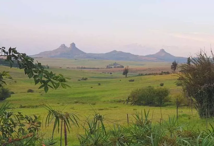 ホテル Oban Farm Stay Van Reenen