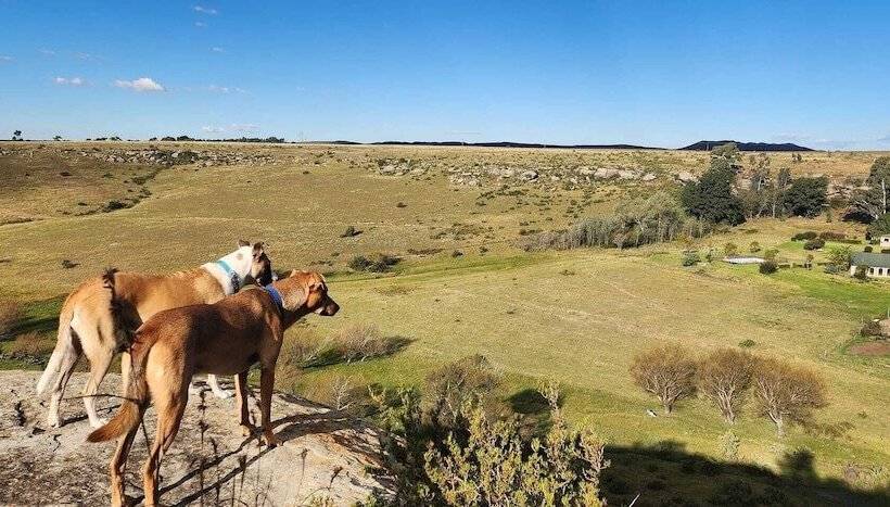 Hotel Oban Farm Stay Van Reenen