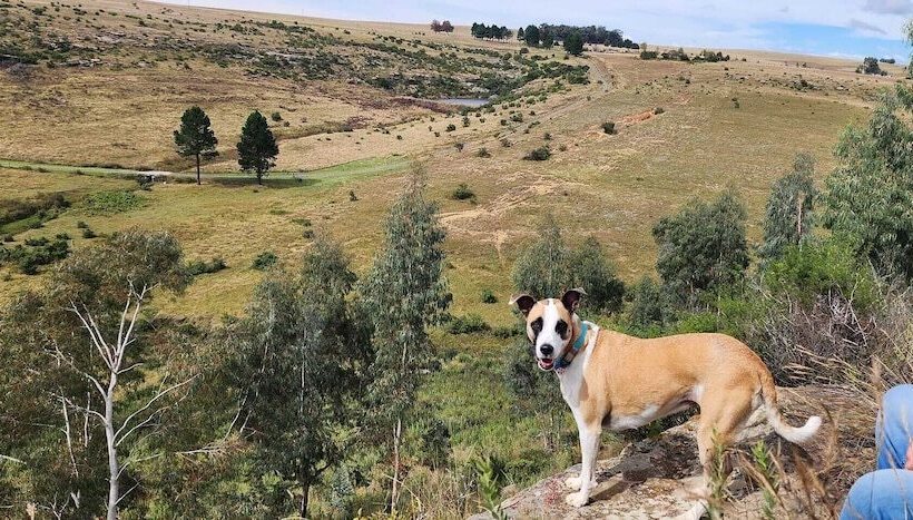 Hotel Oban Farm Stay Van Reenen