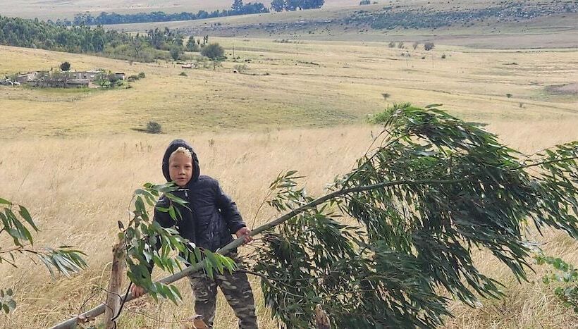 Hotel Oban Farm Stay Van Reenen